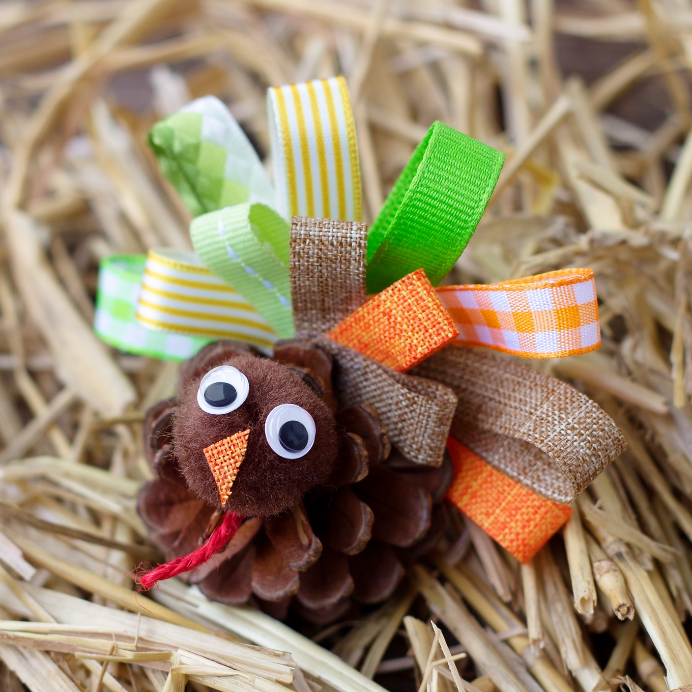 how to make a fun pine cone turkey craft for kids